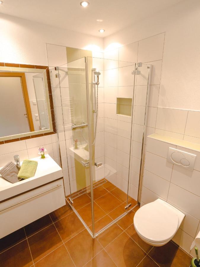 Haus Woehrer / Appartement Fischbacher Schladming Dış mekan fotoğraf